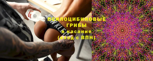бошки Алексеевка