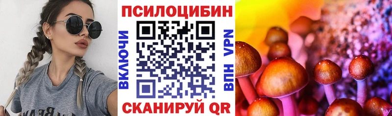 Псилоцибиновые грибы GOLDEN TEACHER Сим